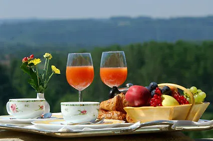 Отель Domaine De Rochebois & Nuxe