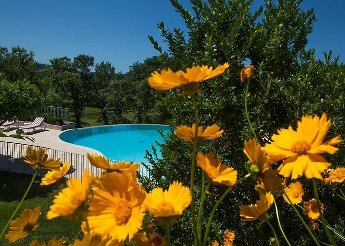 Domaine De Rochebois & Nuxe 维塔克